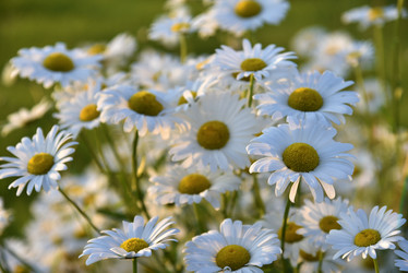 Similar image 21366294