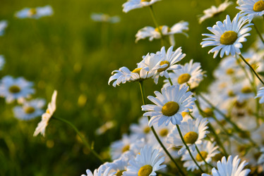 Similar image 21366318