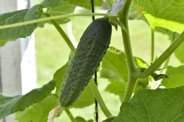 Similar image 21343555