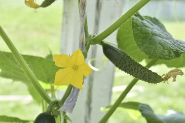 Similar image 21343557