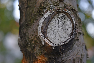 Similar image 21343558