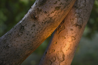 Similar image 21343559