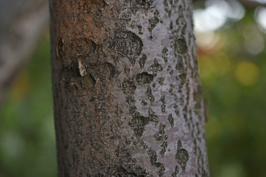 Similar image 21343560