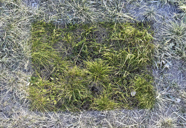 Similar image 21343563