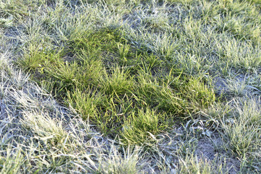 Similar image 21343564