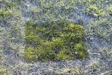 Similar image 21343565