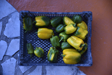 Similar image 21361784