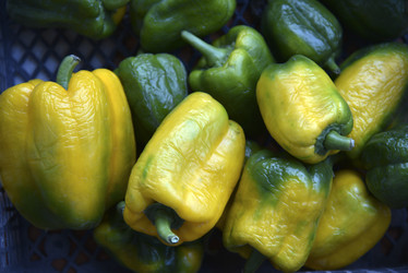 Similar image 21361787