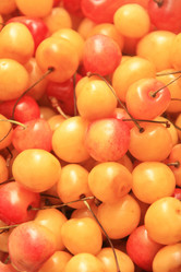 Similar image 21350557