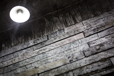 Similar image 21366613