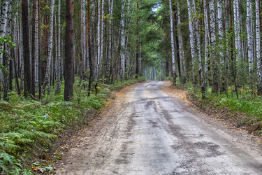 Similar image 21370646