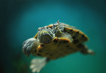 Similar image 21370649