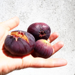 Similar image 21375015