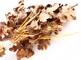 Similar image 21375023