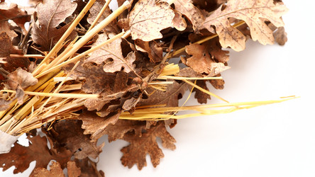 Similar image 21375027