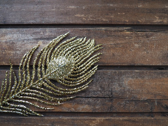 Similar image 21375214