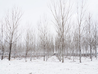 Similar image 21374630