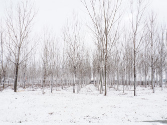 Similar image 21374631