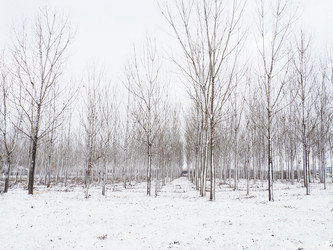 Similar image 21374634