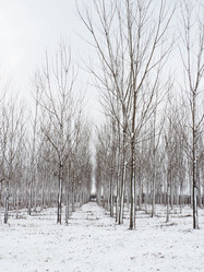 Similar image 21374635