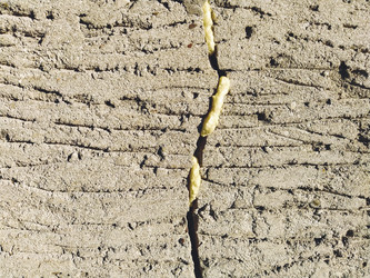 Similar image 21374873