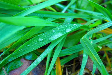 Similar image 21374070