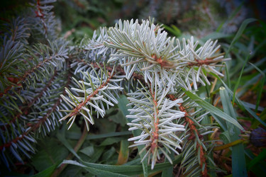 Similar image 21374072