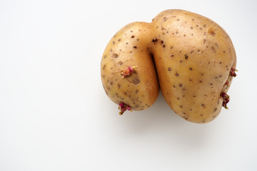 Similar image 21374080