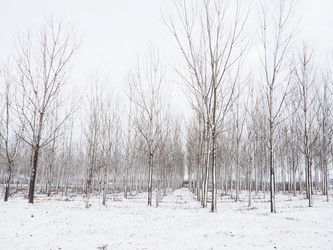 Similar image 21375253