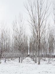 Similar image 21375254