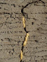 Similar image 21374881