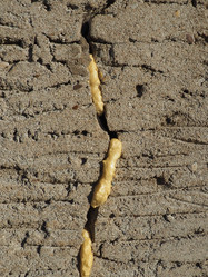 Similar image 21374883