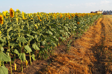 Similar image 21374378