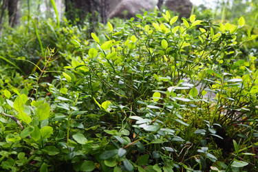 Similar image 21374383