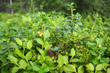 Similar image 21374385