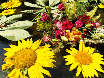 Similar image 21374391