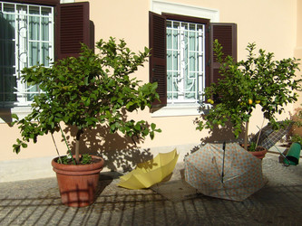 Similar image 21374639