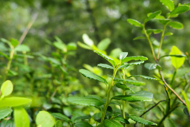 Similar image 21374643