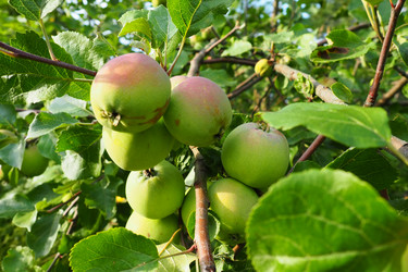 Similar image 21374814