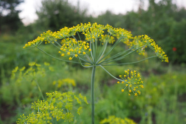 Similar image 21374888