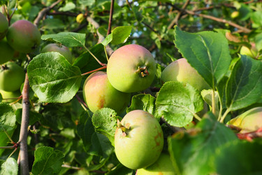 Similar image 21375059