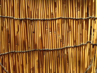 Similar image 21374658