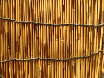 Similar image 21374816