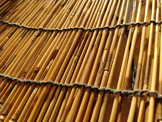 Similar image 21374818