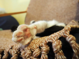 Similar image 21374900