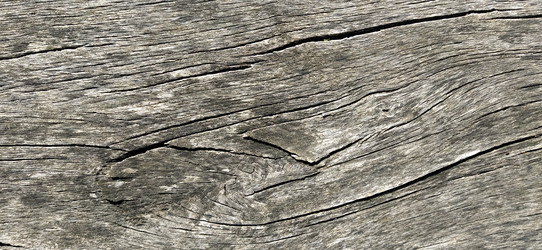 Similar image 21375258