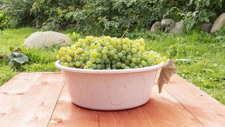 Similar image 21345582