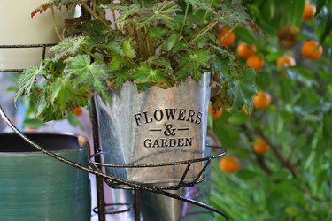 Similar image 21345003