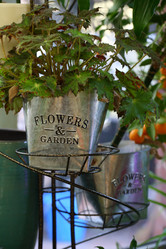 Similar image 21345004