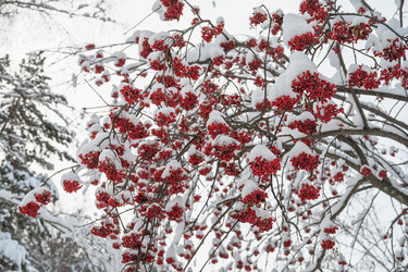 Similar image 21364265